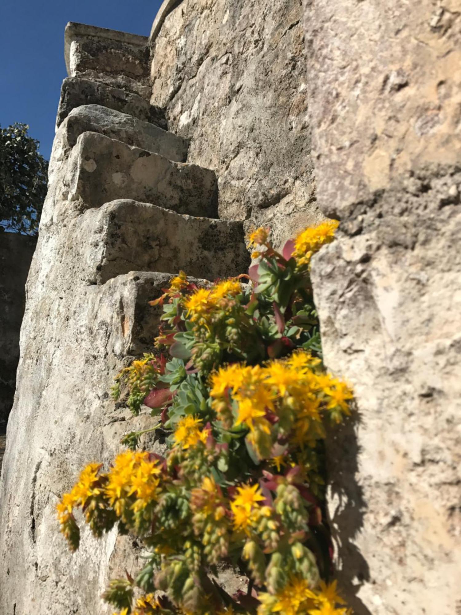 Agritrulli Pensionat Ostuni Exteriör bild